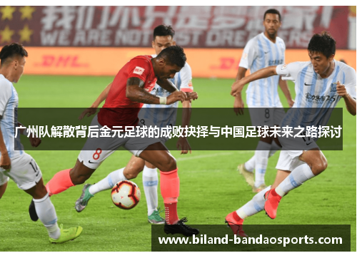 广州队解散背后金元足球的成败抉择与中国足球未来之路探讨