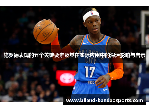 施罗德表现的五个关键要素及其在实际应用中的深远影响与启示