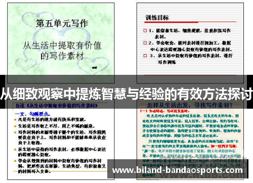 从细致观察中提炼智慧与经验的有效方法探讨