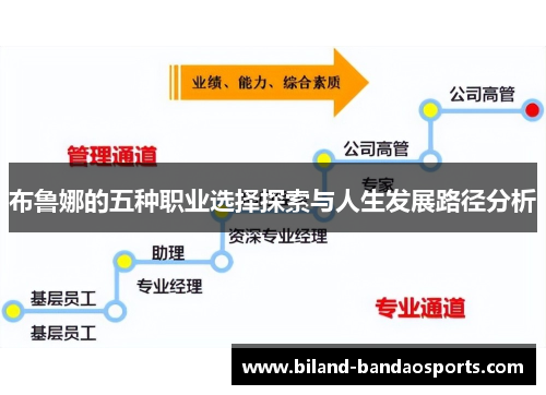 布鲁娜的五种职业选择探索与人生发展路径分析