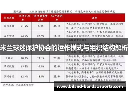米兰球迷保护协会的运作模式与组织结构解析