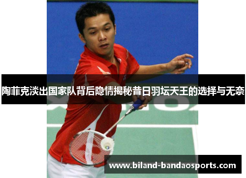 陶菲克淡出国家队背后隐情揭秘昔日羽坛天王的选择与无奈